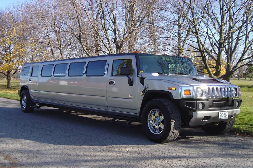 Mercedes Sprinter limo Van