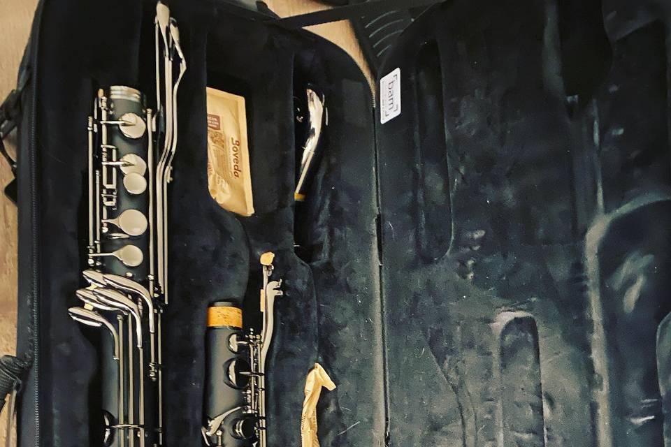Beth McKenna - Jazz Saxophonist