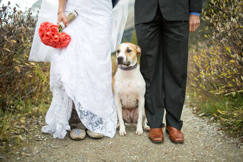 Banff wedding Photographers-131211-030.jpg