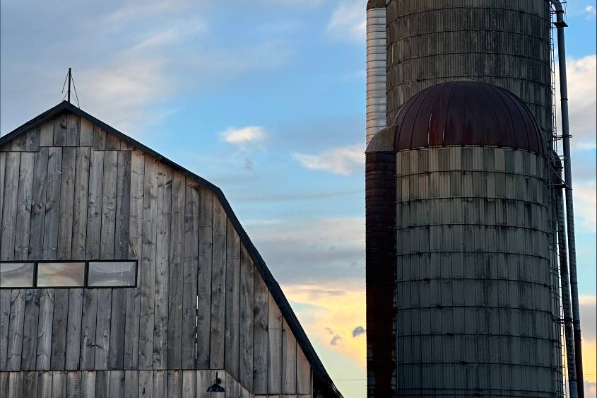 Silo views