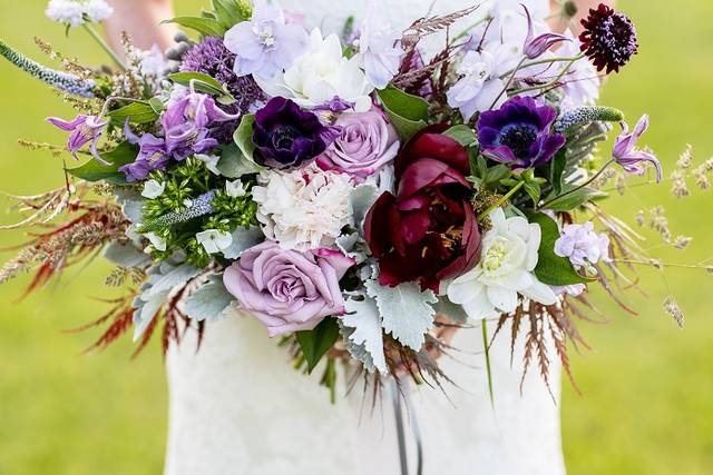 Photo by Krysta Gorman