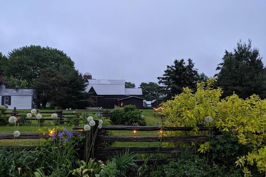 A view towards the barn