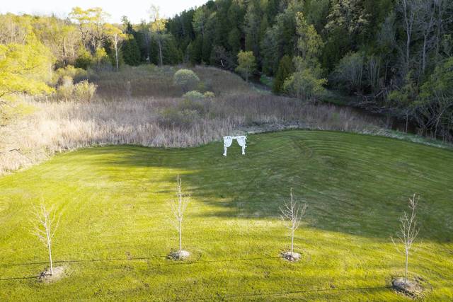 Meadow