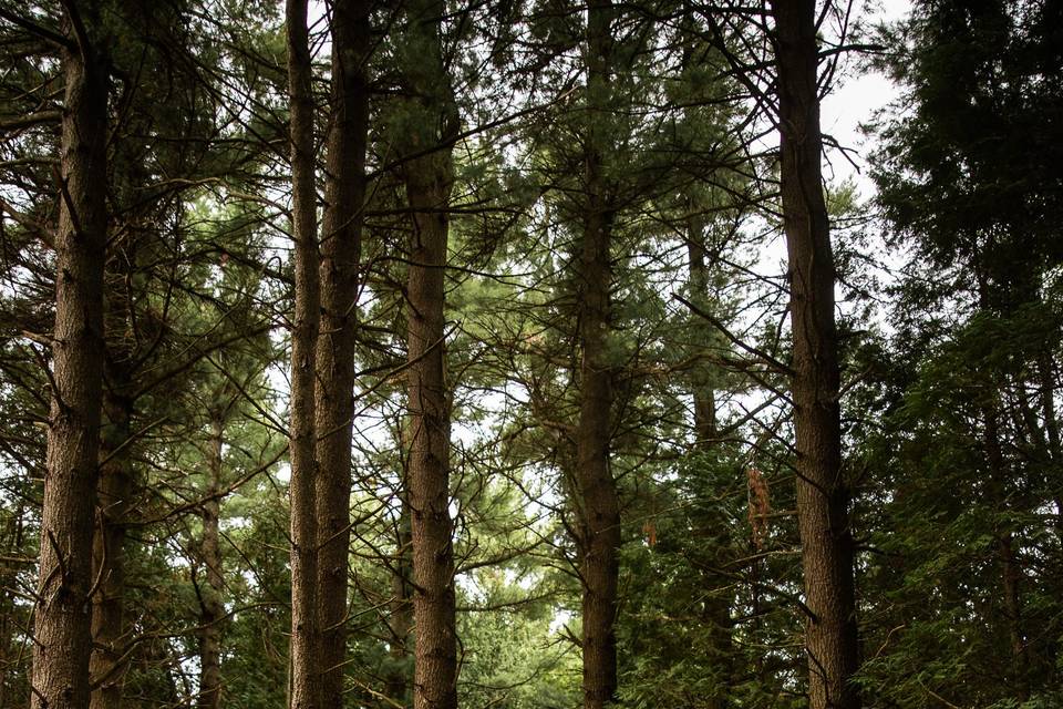 @lovephotos.ca