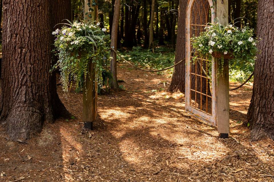 @lovephotos.ca