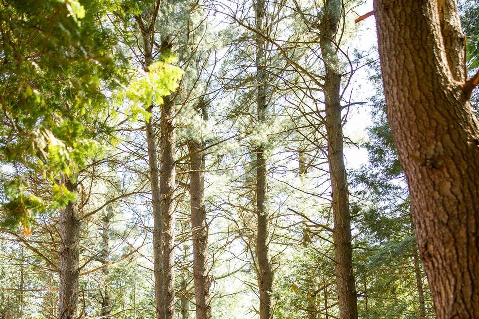 @lovephotos.ca