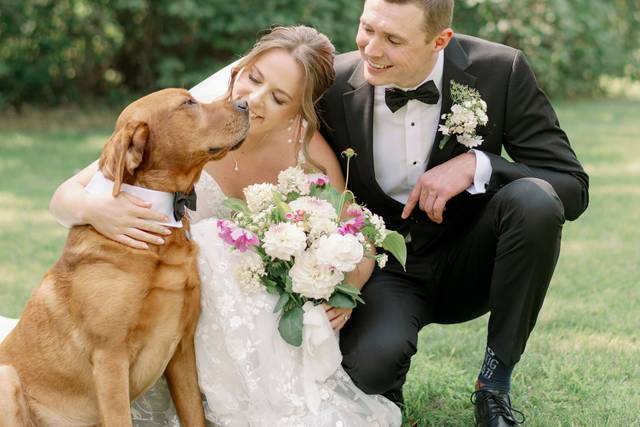 Orangeville Photographer