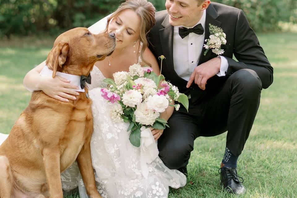 Orangeville Photographer