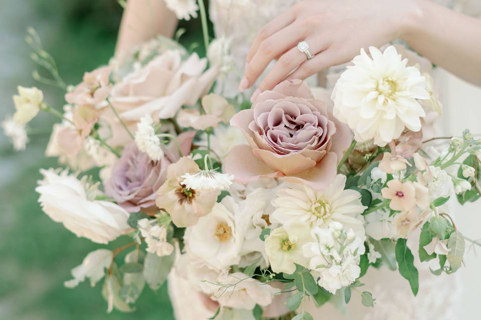 Orangeville Photographer