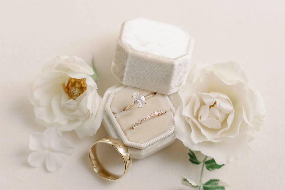 Orangeville Photographer