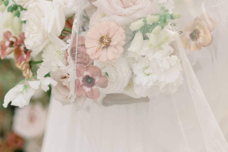 Orangeville Photographer