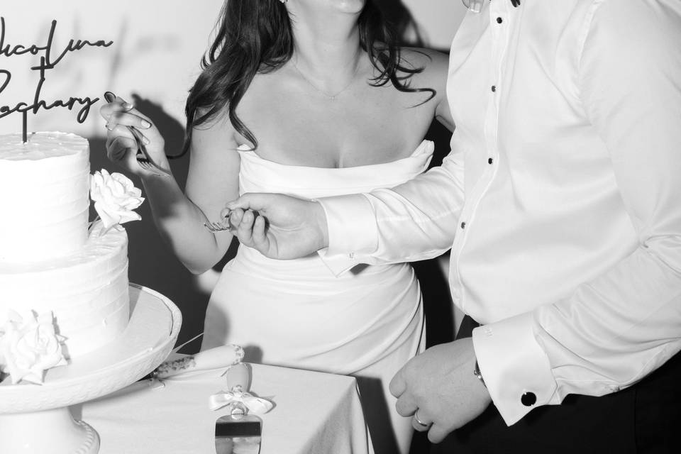 Orangeville Photographer