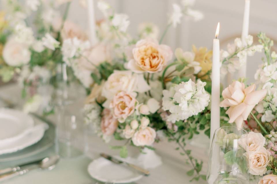 Orangeville Photographer