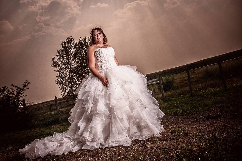 Wedding Photos