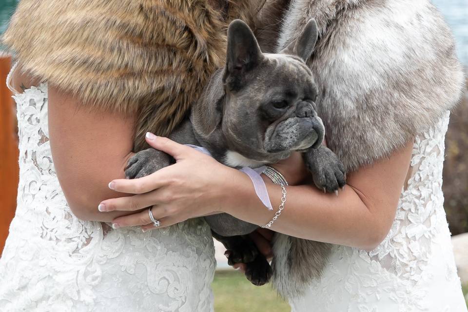 Couple with their wedding party