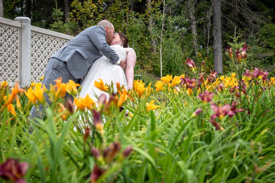 A dip in the gardens