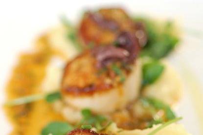 Seared Scallops