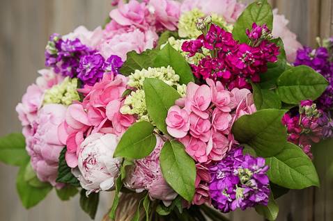 Hydrangea bouquet