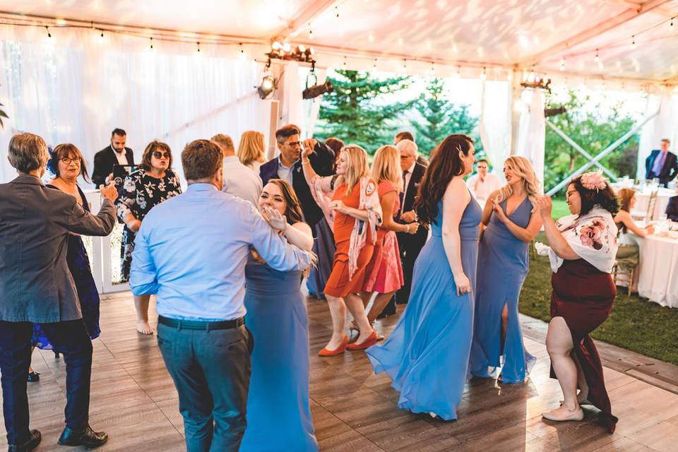 Cake Cutting Sparklers