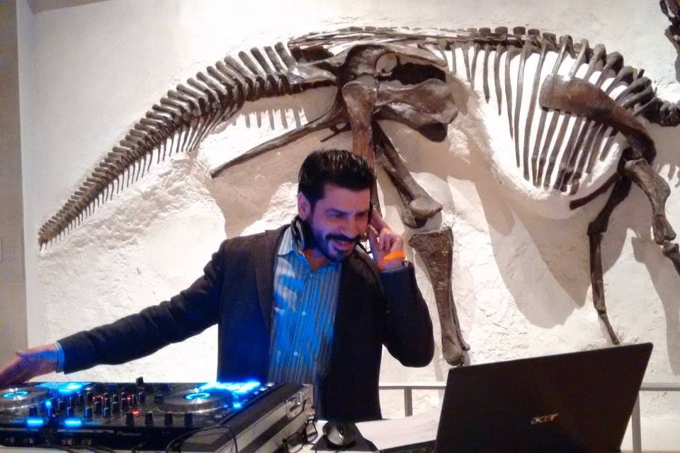 DJ Fun in Oakville
