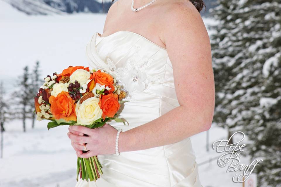 Elope In Banff