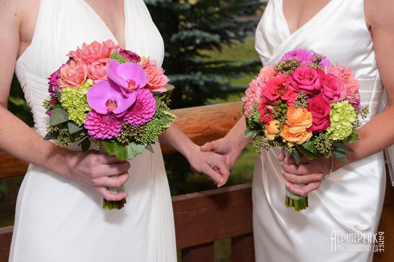 Elope In Banff