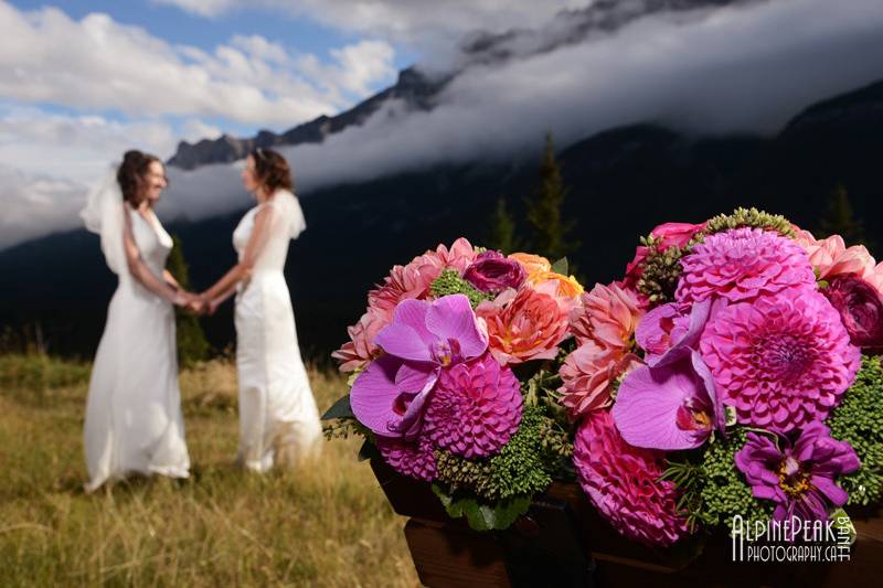 Elope In Banff