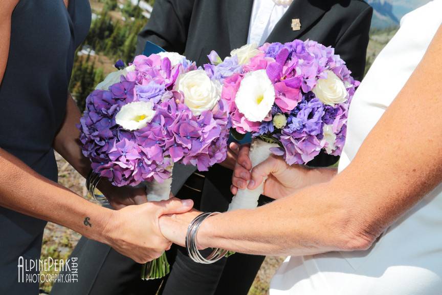 Elope In Banff