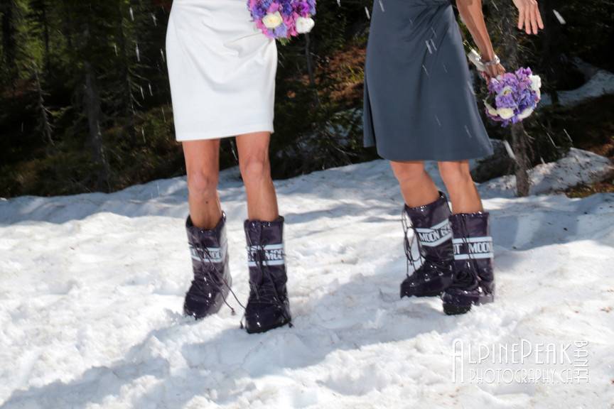 Elope In Banff