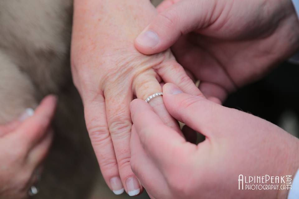 Elope In Banff