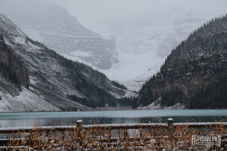 Elope In Banff