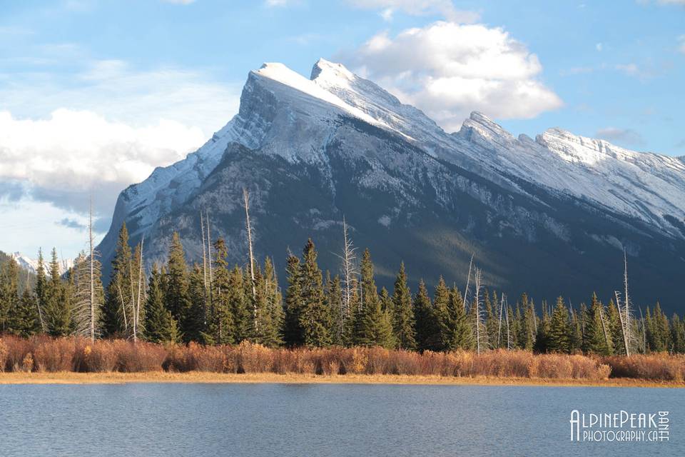 Elope In Banff