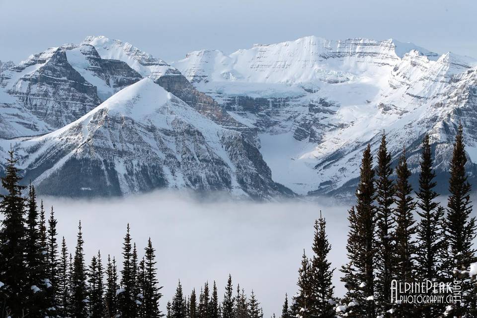 Elope In Banff