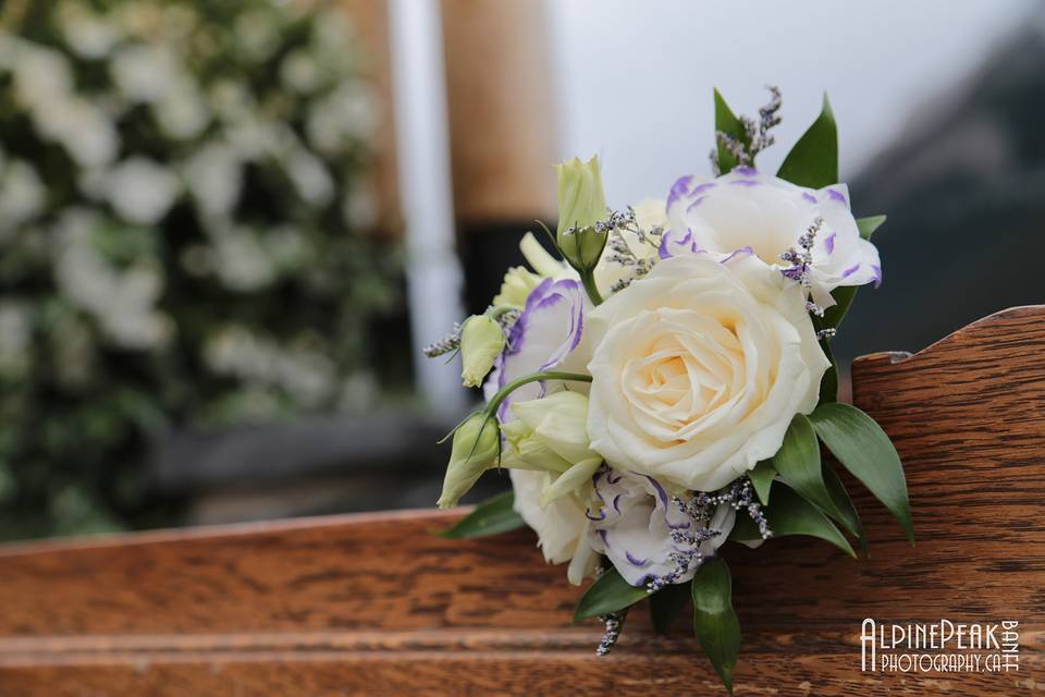 Elope In Banff