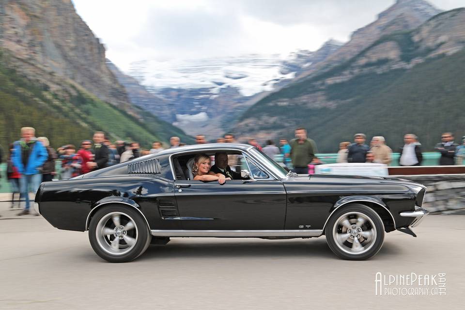 Elope In Banff