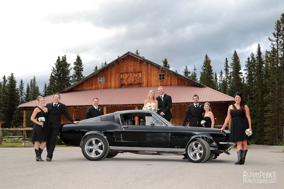 Elope In Banff