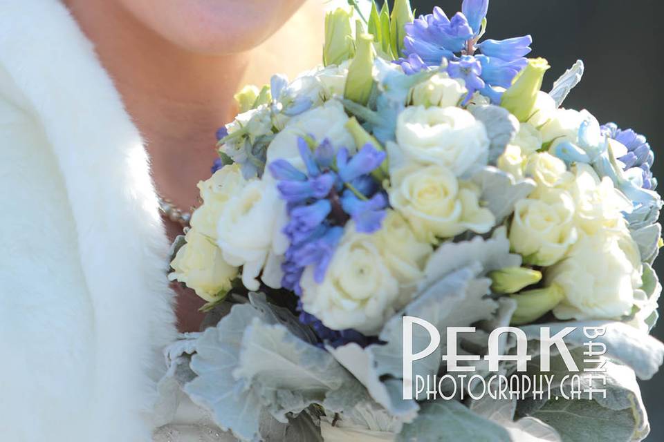 Elope In Banff