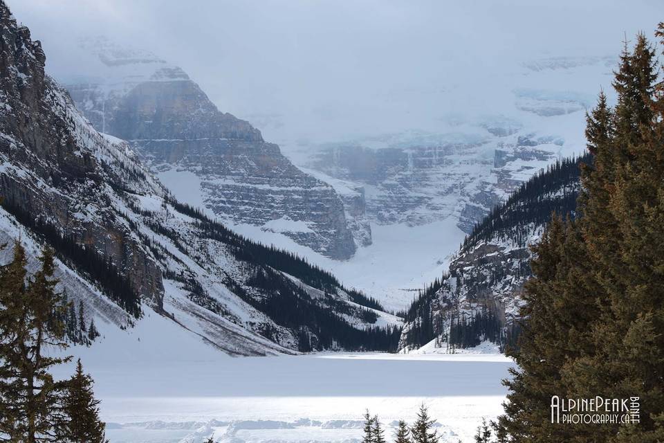 Elope In Banff