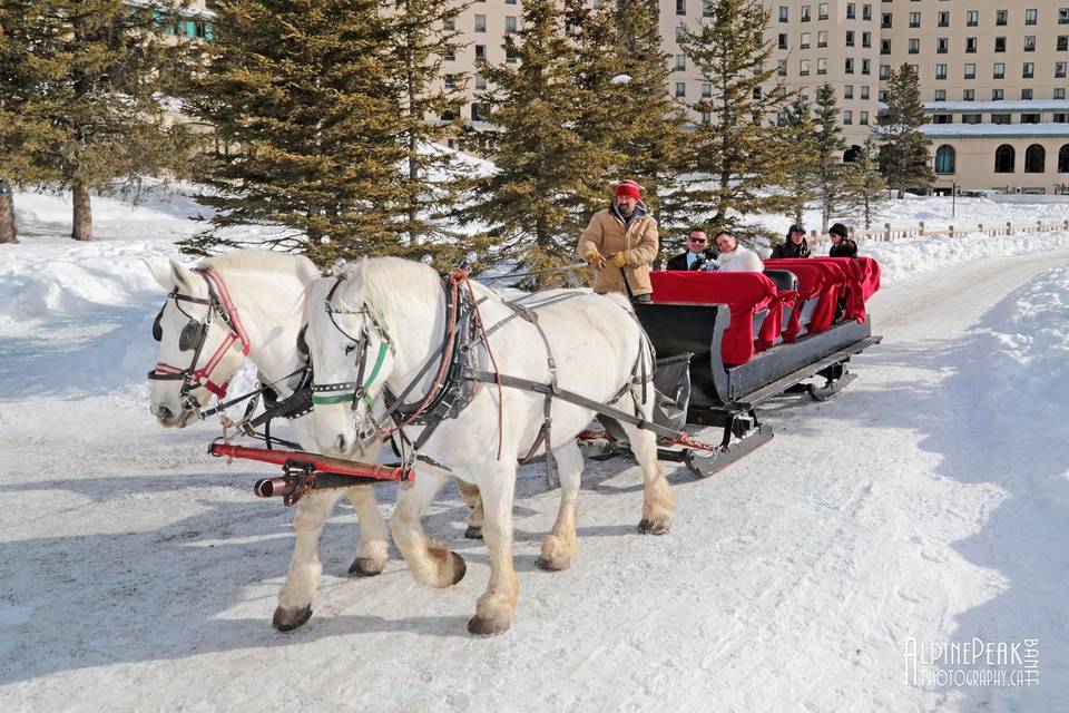 Elope In Banff