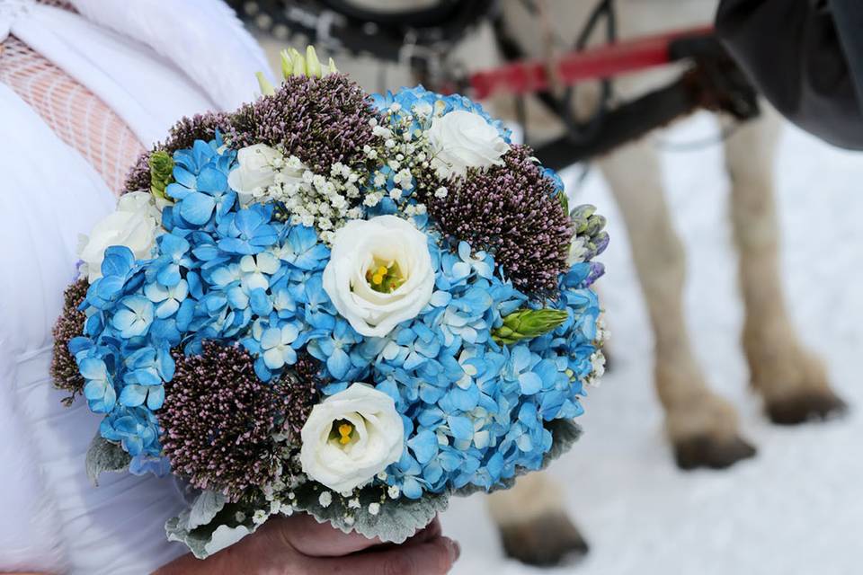 Elope In Banff