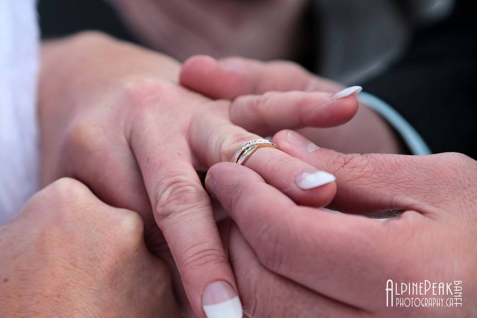 Elope In Banff