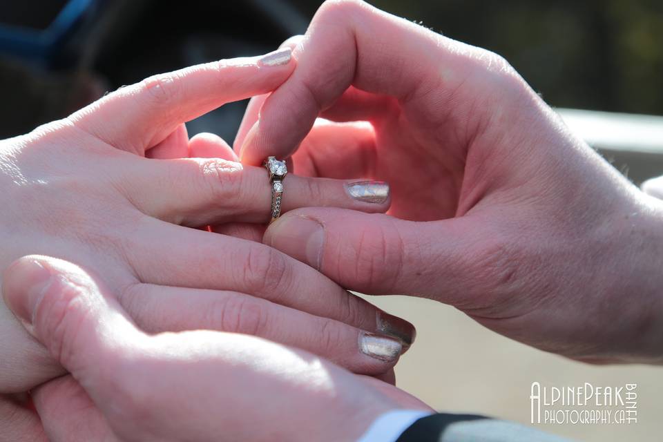 Elope In Banff