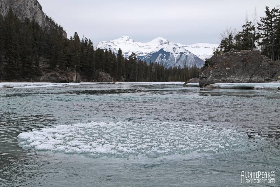 Elope In Banff