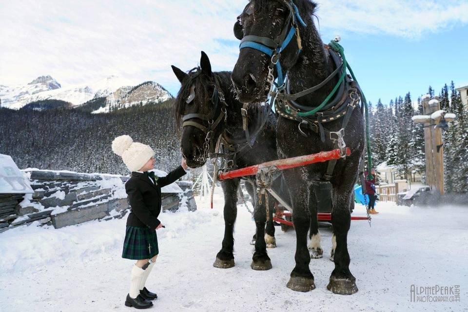 Elope In Banff