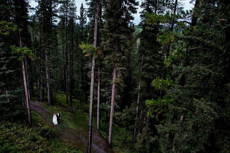 Calgary alberta wedding couple