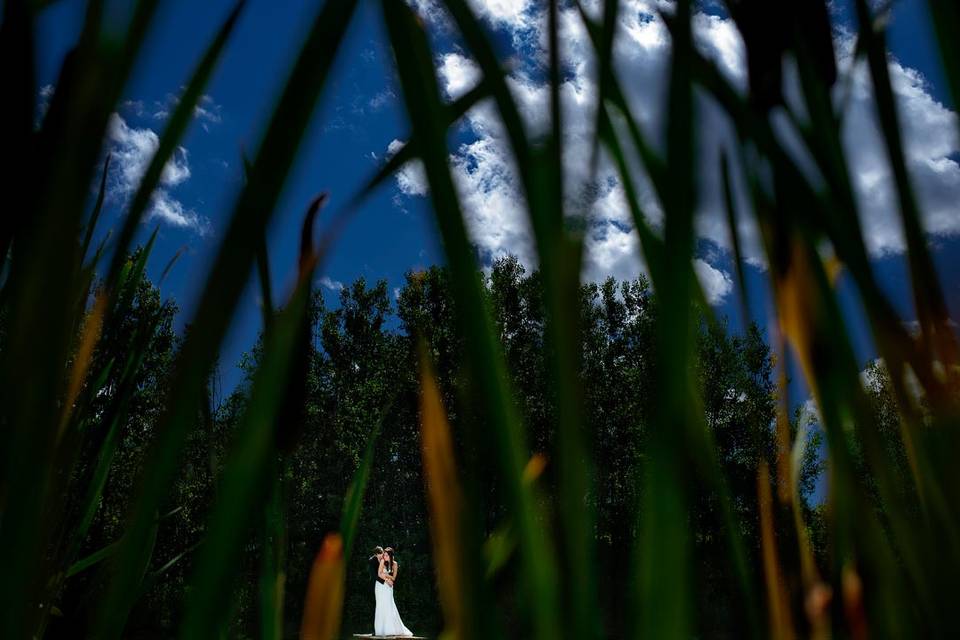 Calgary wedding portrait