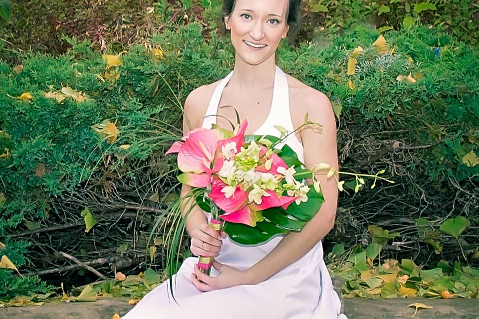 Orchids and Anthuriums