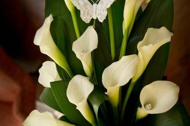 Calla lily bouquet