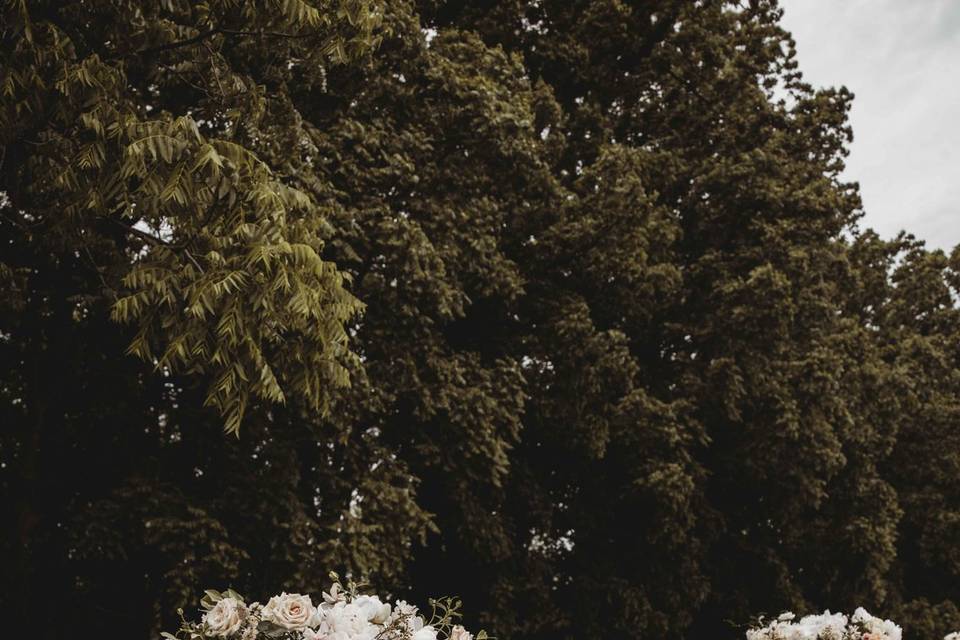 Freedom to make your vision