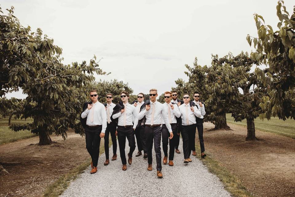Long Driveway Lined with Trees
